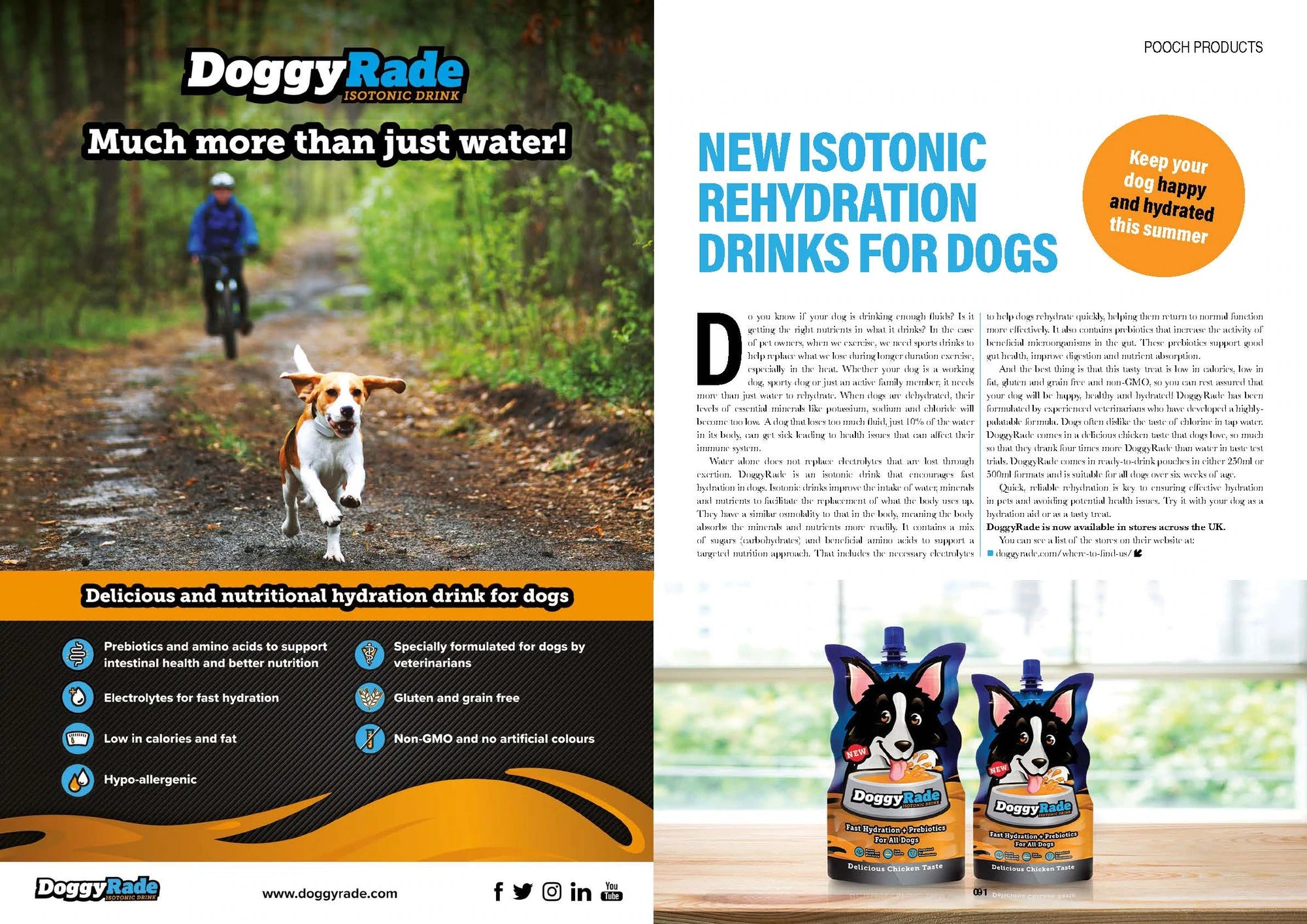 Edition Dog - Keep your dog happy and hydrated this summer