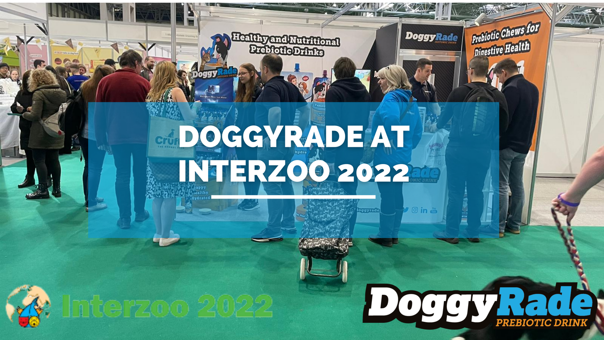 DoggyRade at Interzoo 2022