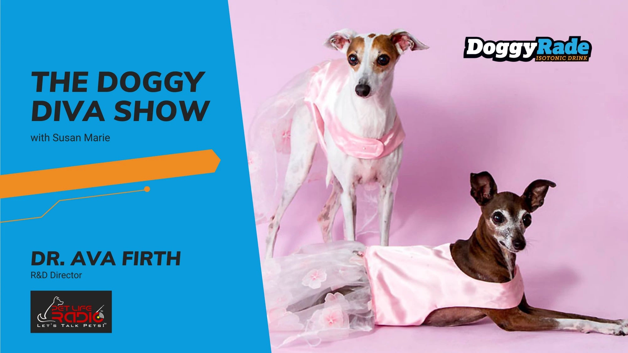 The DoggyDiva Show - Dr. Ava Firth, R&D Director